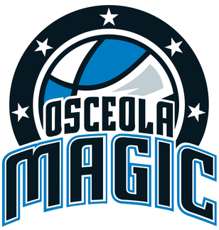 LAKELAND MAGIC Team Logo